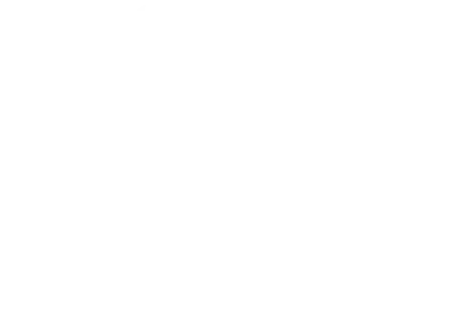 White camera icon used for wildlife photography