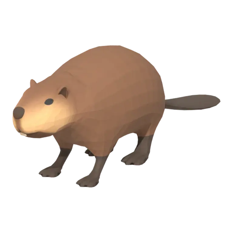 Beaver wildlife model